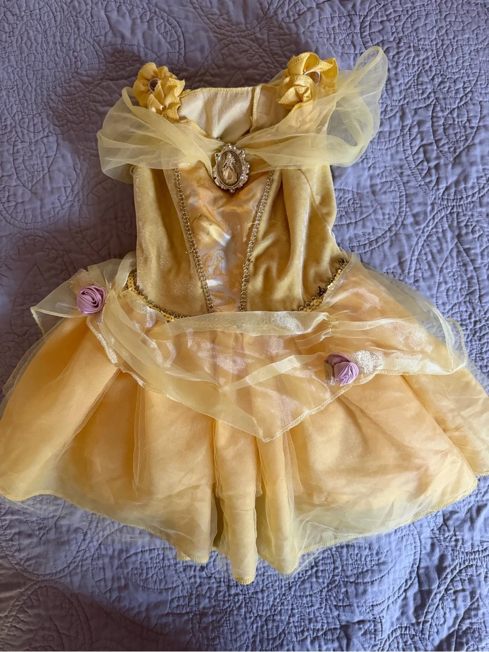 Disney Princess “Belle” Tulle Dress-Up Costume for Kids